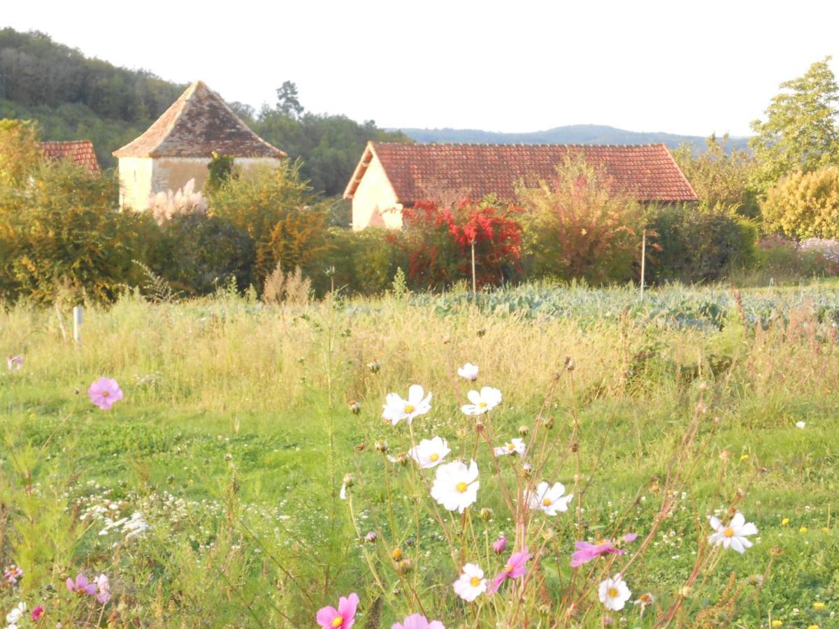 Chambres D'Hotes Le Roussel Le Buisson-de-Cadouin Exterior photo